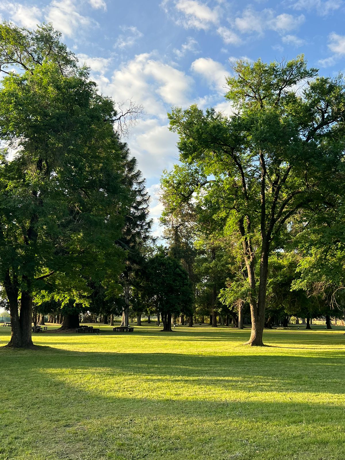 Parque del predio entre los eucaliptos